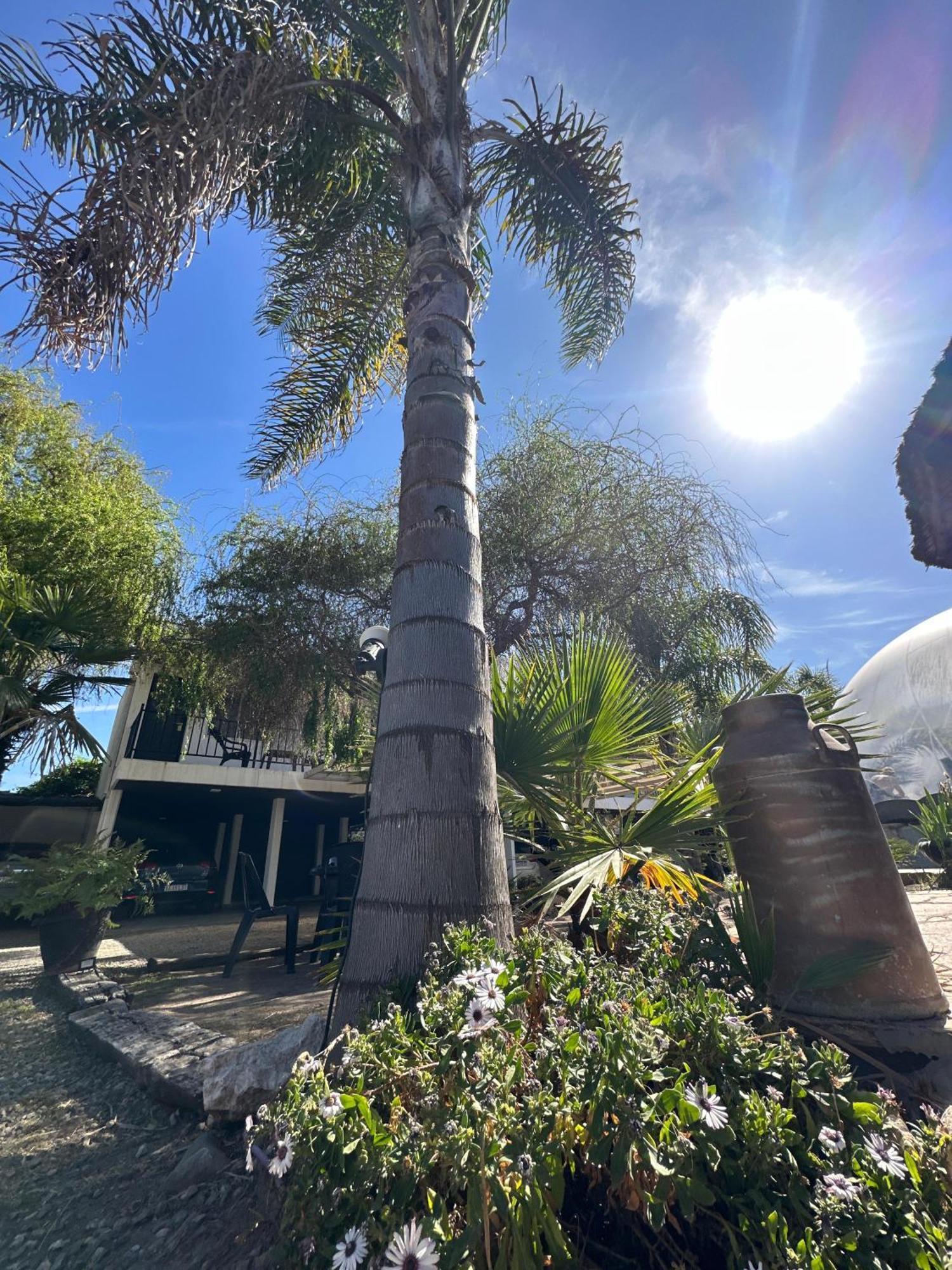 ויז'ה קרלוס פאס Hotel Posada Del Angel מראה חיצוני תמונה